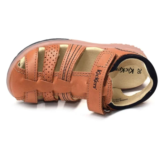 PLATINIUM Camel
