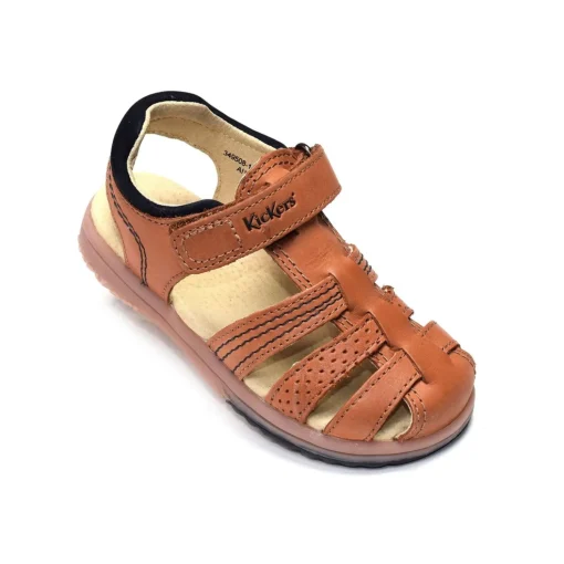 PLATINIUM Camel