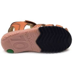 PLATINIUM Camel