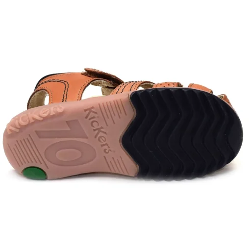 PLATINIUM Camel