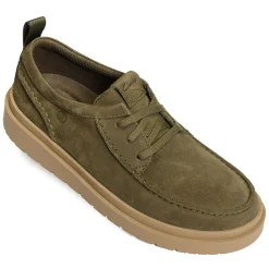 POLDEN MOC Olive