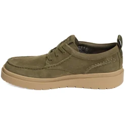 POLDEN MOC Olive