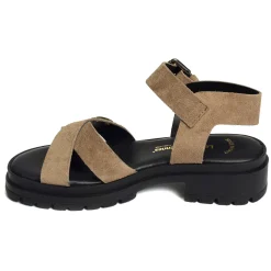 TIHASUED Taupe