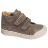 VOLEXOR Taupe