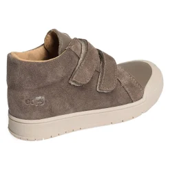 VOLEXOR Taupe