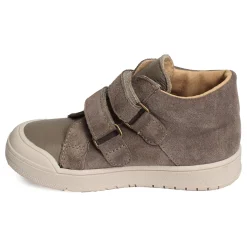 VOLEXOR Taupe